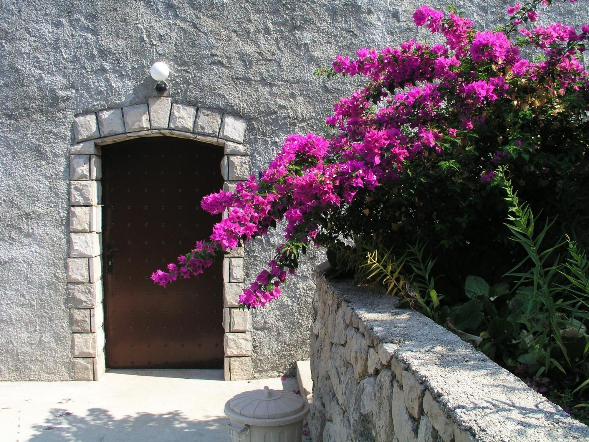 Apartament Bajo - Free Parking *